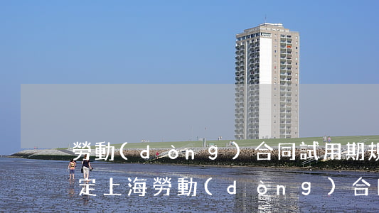 勞動(dòng)合同試用期規(guī)定(上海勞動(dòng)合同試用期規(guī)定)