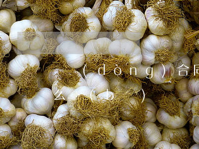 勞動(dòng)合同逾期續(xù)簽怎么補(bǔ)償