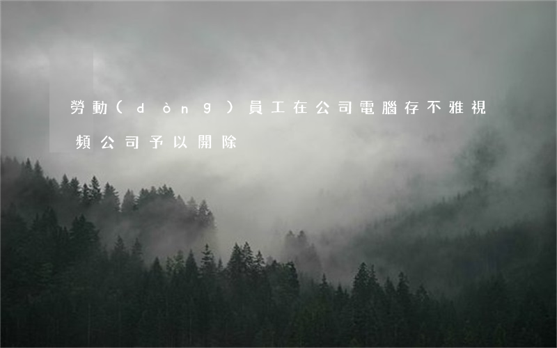 勞動(dòng)員工在公司電腦存不雅視頻,公司予以開除