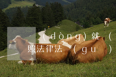 勞動(dòng)就業(yè)管理中心依照法律法規(guī)(勞動(dòng)合同是職工與用人單位依照法律規(guī)定在什么)