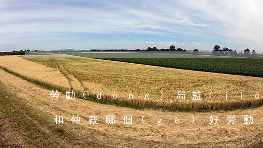 勞動(dòng)局監(jiān)察部門和仲裁哪個(gè)好(勞動(dòng)仲裁快還是勞動(dòng)監(jiān)察快)