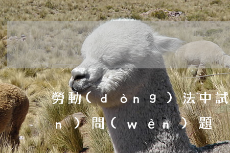 勞動(dòng)法中試用期常見(jiàn)問(wèn)題