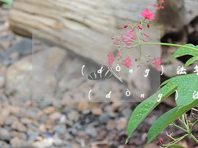 勞動(dòng)法年假的規(guī)定(勞動(dòng)法有關(guān)年假的規(guī)定)