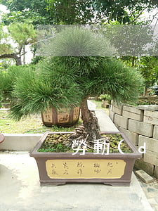 勞動(dòng)法律法規(guī)