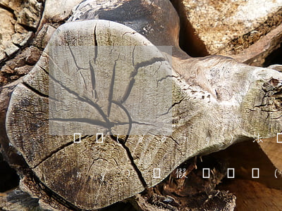 勞動(dòng)法爺爺去世可以請(qǐng)喪假嗎(勞動(dòng)法規(guī)定祖輩去世可以請(qǐng)喪假嗎)