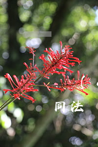 勞動(dòng)法與勞動(dòng)合同法(勞動(dòng)法與勞動(dòng)合同法的效力)