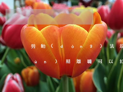 勞動(dòng)法規(guī)培訓(xùn)期離職可以扣工資嗎