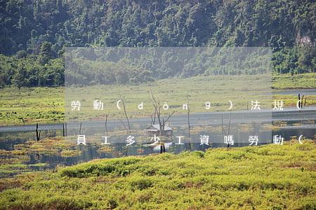勞動(dòng)法規(guī)定可以扣員工多少工資嗎(勞動(dòng)法規(guī)定每月扣工資不能超過(guò)多少)