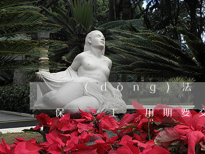 勞動(dòng)法試用期是否可以繳納社保嗎(員工試用期要交社保嗎?交社保嗎)