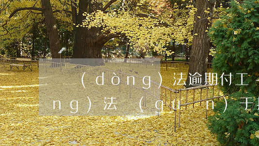 勞動(dòng)法逾期付工資(勞動(dòng)法關(guān)于拖欠工資)