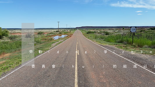 勞動(dòng)爭(zhēng)議仲裁委員會(huì)的組成以及仲裁程序的規(guī)定（仲裁程序的一般規(guī)定）