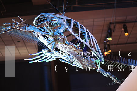 勞動(dòng)爭(zhēng)議引糾紛，運(yùn)用法律終維權(quán)
