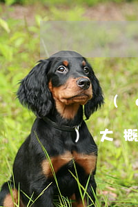 勞動(dòng)爭議案件律師費(fèi)大概多少(勞動(dòng)官司的律師費(fèi)一般多少)