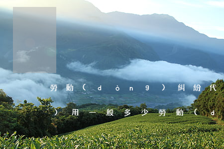 勞動(dòng)糾紛代理律師費(fèi)用一般多少(勞動(dòng)糾紛代理律師費(fèi)用一般多少)