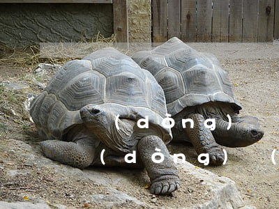 勞動(dòng)糾紛可以上法院起訴嗎(勞動(dòng)爭(zhēng)議案件可以直接向法院起訴嗎)