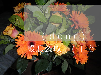 勞動(dòng)糾紛律師費(fèi)一般怎么收費(fèi)(勞動(dòng)糾紛律師如何收費(fèi))