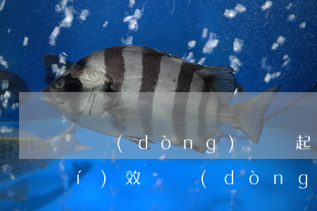 勞動(dòng)糾紛起訴的訴訟時(shí)效(勞動(dòng)案件訴訟時(shí)效規(guī)定)