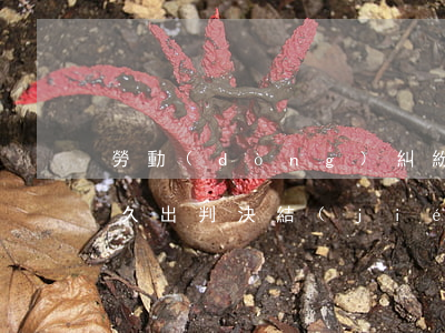 勞動(dòng)糾紛開(kāi)庭后多久出判決結(jié)果(勞動(dòng)局仲裁開(kāi)庭后多久出判決結(jié)果)