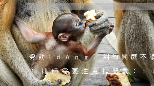 勞動(dòng)糾紛開庭不請(qǐng)律師需要注意(打勞動(dòng)官司怎樣請(qǐng)律師)