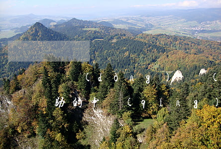 勞動(dòng)維權(quán)法律援助的申請(qǐng)流程是什么