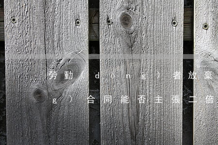 勞動(dòng)者放棄簽訂勞動(dòng)合同，能否主張二倍工資差額？