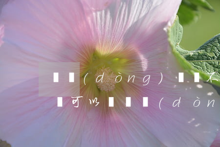 勞動(dòng)訴訟不請(qǐng)律師可以嗎(勞動(dòng)糾紛需要請(qǐng)律師嗎)