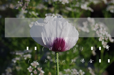 勞動(dòng)訴訟可以財(cái)產(chǎn)保全嗎(勞動(dòng)仲裁階段的財(cái)產(chǎn)保全)