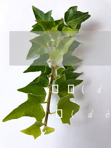 勞動(dòng)關(guān)系論文(勞動(dòng)關(guān)系論文2000字)