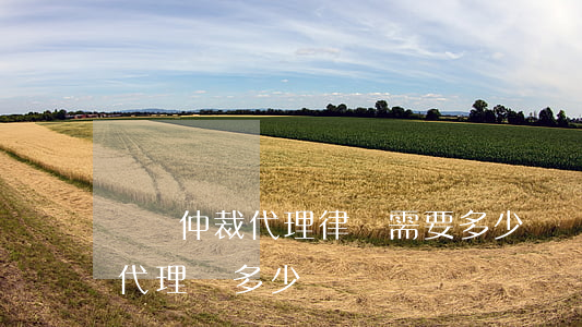 勞動仲裁代理律師需要多少錢(勞動仲裁律師代理費多少)