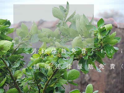 勞動仲裁免費(fèi)法律援助的律師靠譜嗎(法律援助免費(fèi)律師打官司靠譜嗎)