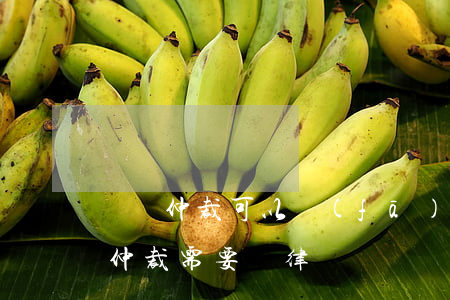 勞動仲裁可以發(fā)律師函嗎(工傷勞動仲裁需要請律師嗎)