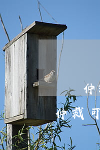 勞動仲裁和法院可以同時進行嗎(勞動投訴和仲裁可以同時進行嗎)