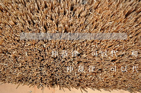 勞動仲裁律師可以代簽和解協(xié)議嗎(勞動仲裁律師可以代簽和解協(xié)議嗎)