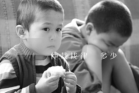 勞動仲裁找律師多少錢(勞動仲裁律師費用標準)