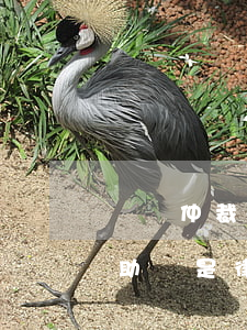 勞動仲裁援助律師靠譜嗎(勞動糾紛找法律援助還是律師所)
