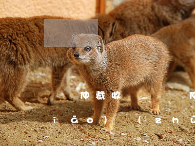 勞動仲裁收費嗎(勞動仲裁收費嗎?收費標(biāo)準(zhǔn)是什么?)