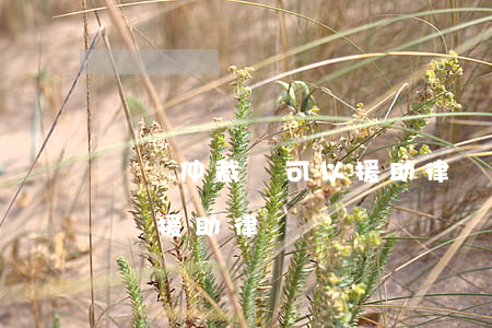 勞動仲裁時可以援助律師嗎(勞動仲裁可以申請援助律師嗎)