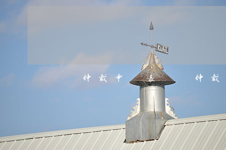 勞動仲裁申請表(勞動仲裁申請表)
