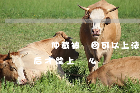 勞動仲裁被駁回可以上法院嗎(必須勞動仲裁后才能上訴么)
