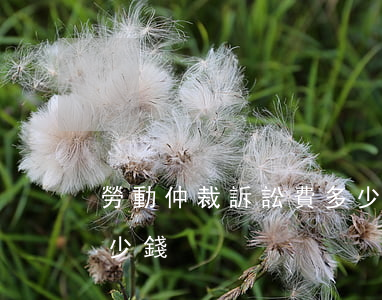 勞動仲裁訴訟費多少錢(起訴勞動仲裁需要多少錢)