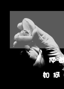 勞動仲裁請律師劃算嗎(勞動仲裁需要請律師嗎?如何收費!)