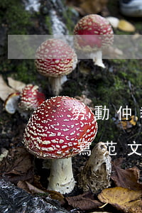 勞動仲裁起訴書怎么寫(勞動仲裁起訴書怎么寫范文)