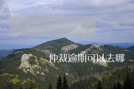 勞動仲裁逾期可以去哪個法院