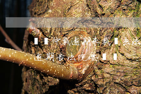 勞動仲裁逾期未裁決去法院要多久（勞動仲裁逾期告法院要錢嗎）