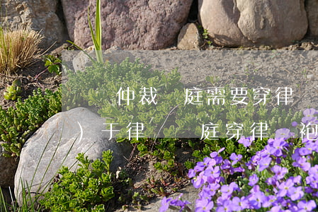 勞動仲裁開庭需要穿律師袍嗎(關(guān)于律師開庭穿律師袍規(guī)定)