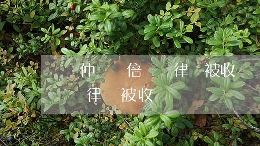 勞動仲載兩倍賠償律師被收買(勞動仲載兩倍賠償律師被收買)
