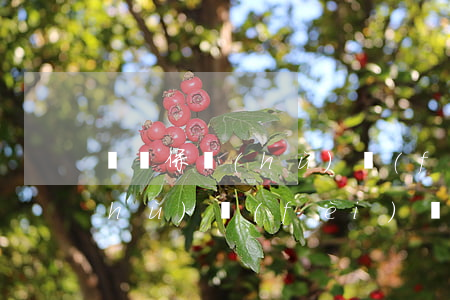 勞動保護(hù)費(fèi)(勞動保護(hù)費(fèi)屬于職工薪酬嗎)