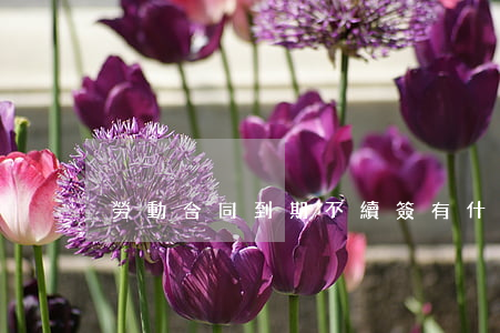 勞動合同到期不續簽有什么補償