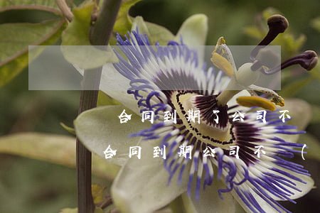 勞動合同到期了公司不續(xù)簽有賠償嗎（合同到期公司不續(xù)簽是否可以申請勞動仲裁）