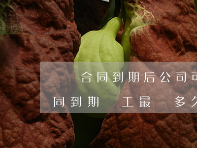 勞動合同到期后公司可逾期多久簽-勞動合同到期,員工最遲多久續(xù)簽